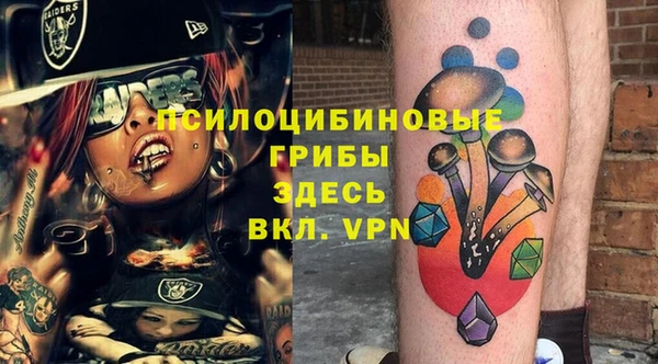 винт Нея