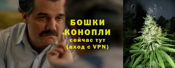 винт Нея