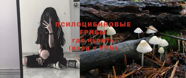 винт Нея