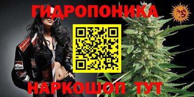шишки Коммунар