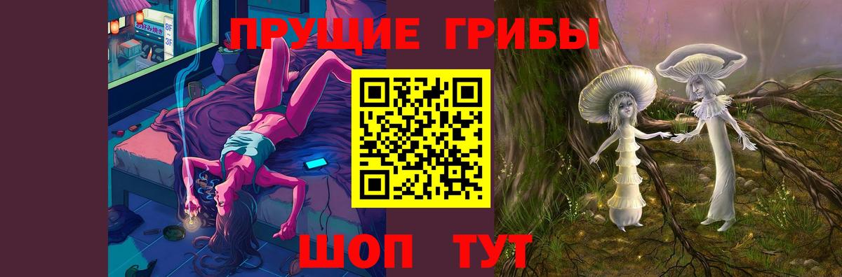 Новозыбков  Псилоцибиновые грибы Psilocybine cubensis  Вход с VPN 