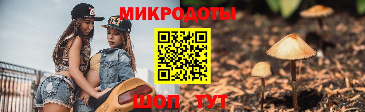 Галлюциногенные грибы мицелий Новозыбков