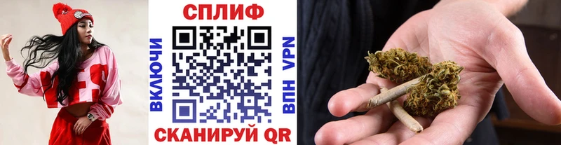 где купить   маркетплейс какой сайт  Конопля White Widow  Новозыбков 